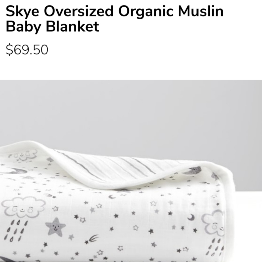 Pottery Barn Skye Blanket
